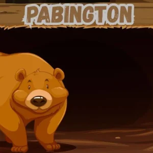 Pabington Uncovered: The Hidden Gems You Need to Know About