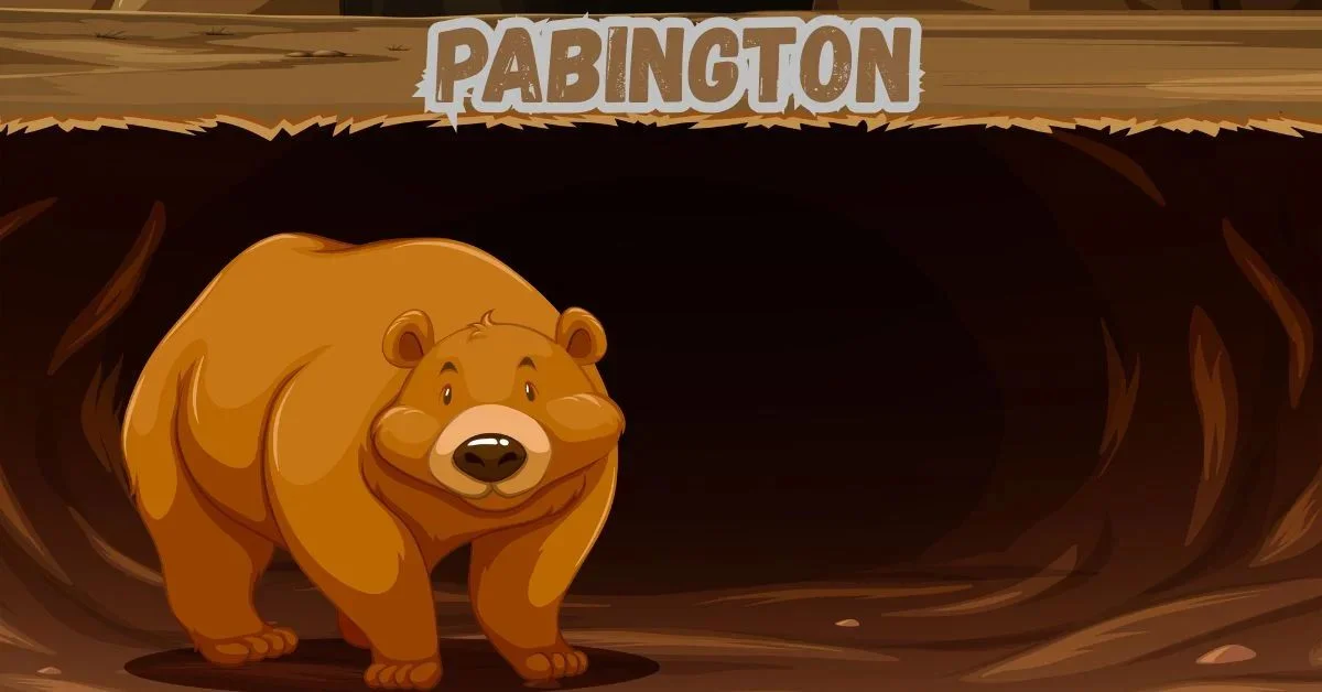 Pabington Uncovered: The Hidden Gems You Need to Know About